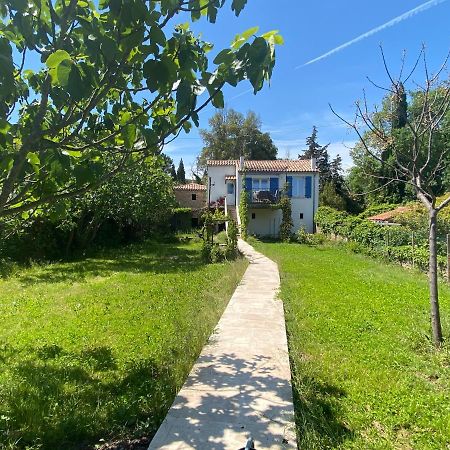 Petite Maison De Charme - Le Jardin Secret D'Alice Roquebrune-sur Argens Esterno foto