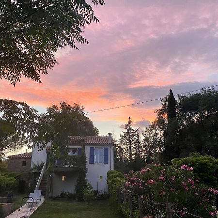Petite Maison De Charme - Le Jardin Secret D'Alice Roquebrune-sur Argens Esterno foto
