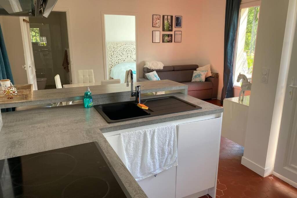 Petite Maison De Charme - Le Jardin Secret D'Alice Roquebrune-sur Argens Esterno foto