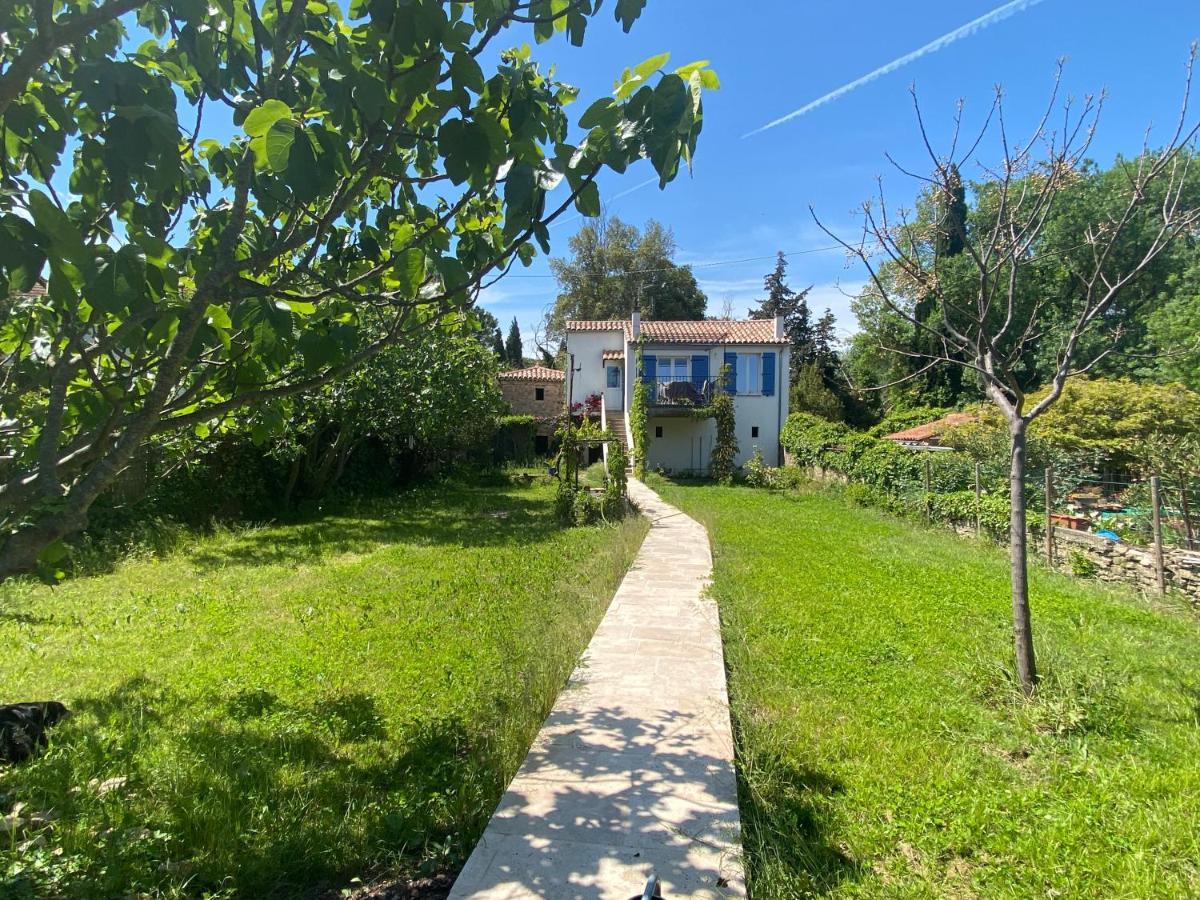 Petite Maison De Charme - Le Jardin Secret D'Alice Roquebrune-sur Argens Esterno foto