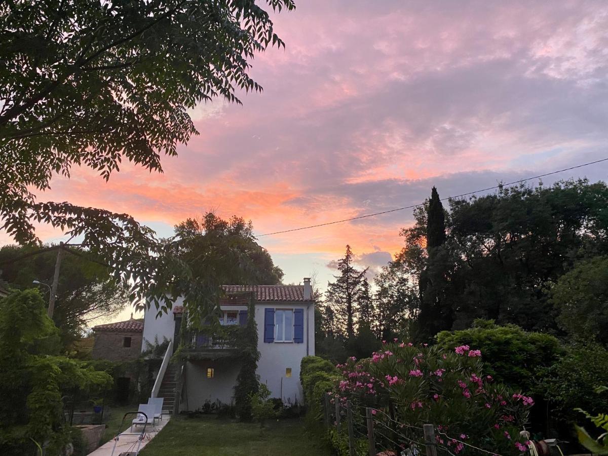 Petite Maison De Charme - Le Jardin Secret D'Alice Roquebrune-sur Argens Esterno foto